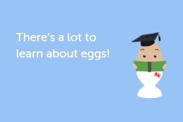 All about eggs for schools