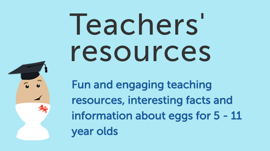 Teachers' resources about eggs